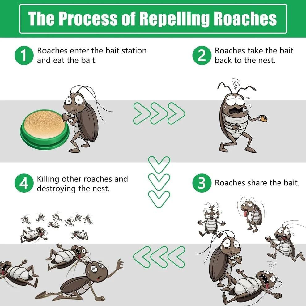 Diagram showing the process of a cockroach killer gel attracting and repelling roaches effectively