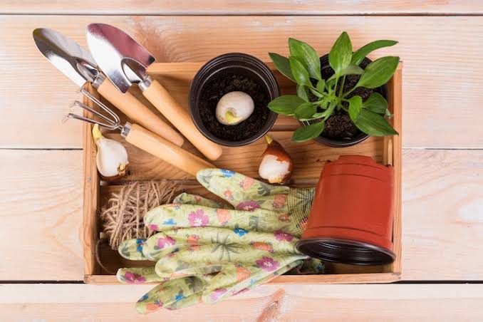 Buy gardening tools online with gloves, pots, and various planting tools arranged in a wooden box